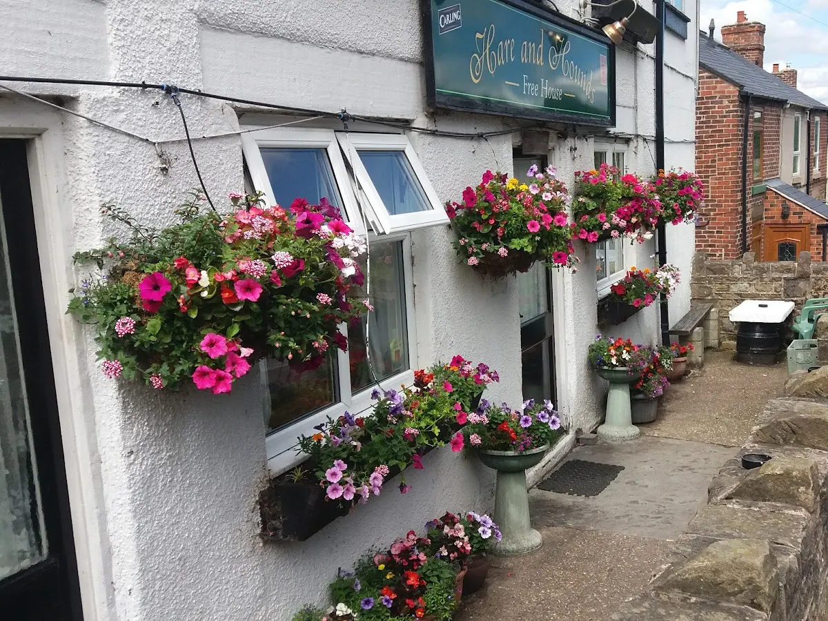 The white-washed exterior of Hare and Hounds pub with its dark sign, decorated with bright pink and purple hanging flowers.