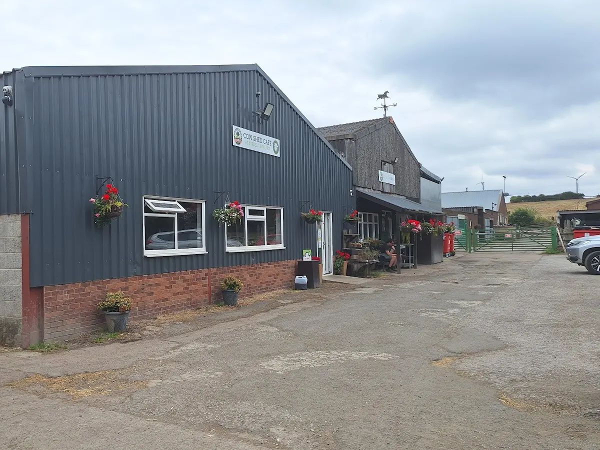 The front of The Cow Shed Cafe with its sign on a grey metal building with white windows and red flowers.